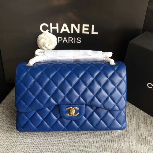 Borse a tracolla con patta Chanel Blu Pelle di agnello originale CF1113 Glod