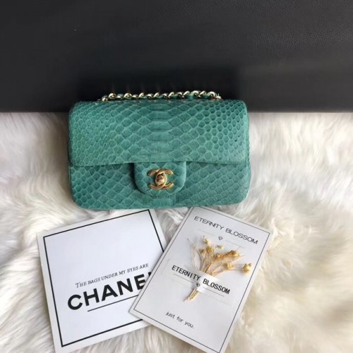 Chanel Mini Flap Bag Python Gold-Tone Metal A69900 verde