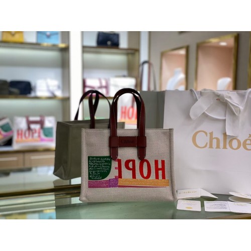 Chloe Cloth pelle 6C013 marrone