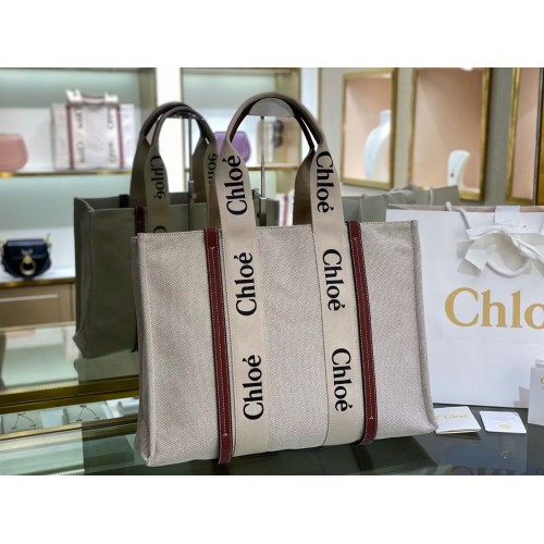 Chloe Cloth pelle 6C025 marrone