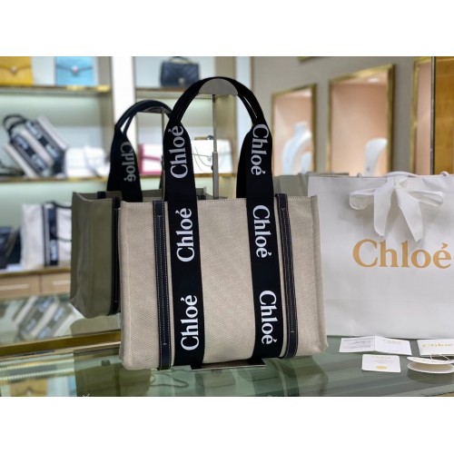 Chloe Panno pelle 6C026 nero