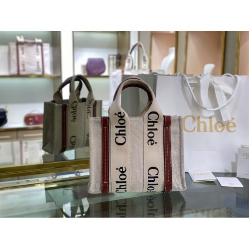 Chloe Cloth pelle 6C027 marrone