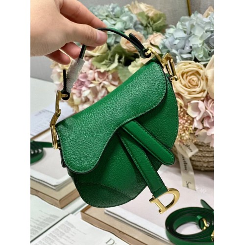 DIOR MICRO SADDLE BAG Pelle di capra antica S5685CC verde