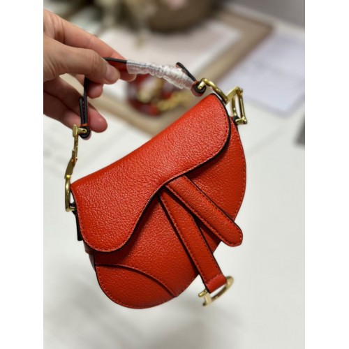 DIOR MICRO SADDLE BAG Pelle di capra antica S5685CC arancione