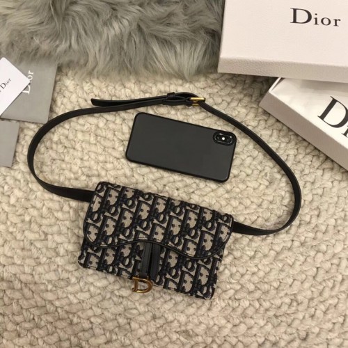 Marsupio DIOR Obliquo D26988