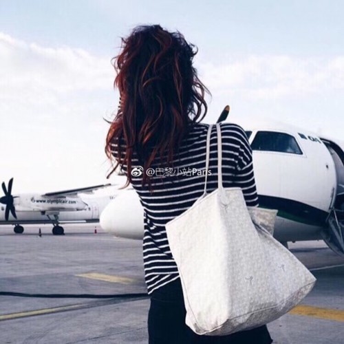 Borsa tote in pelle di vitello Goyard 6783 bianca