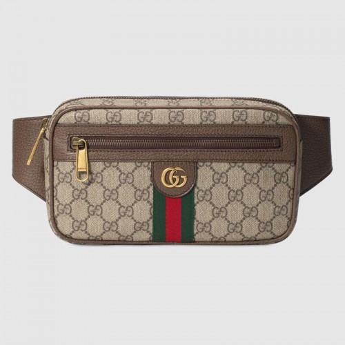 Marsupio Gucci Ophidia GG 574796 marrone