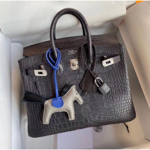 Hermes Birkin 25CM Tote Bag originale in pelle di coccodrillo grigio H25TCO