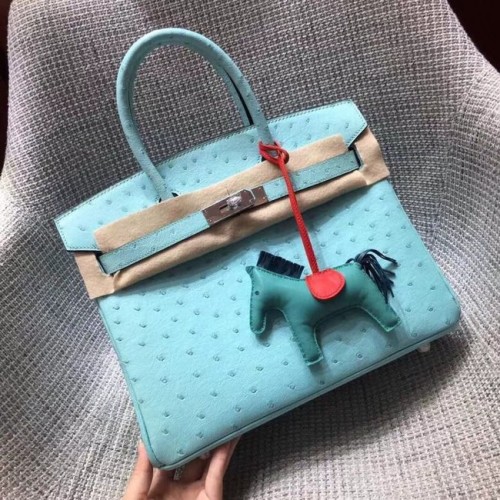 Borsa birkin in vera pelle di struzzo Hermes BK35 celeste