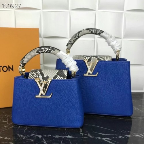 Louis Vuitton CAPUCINES MINI M99676 blu