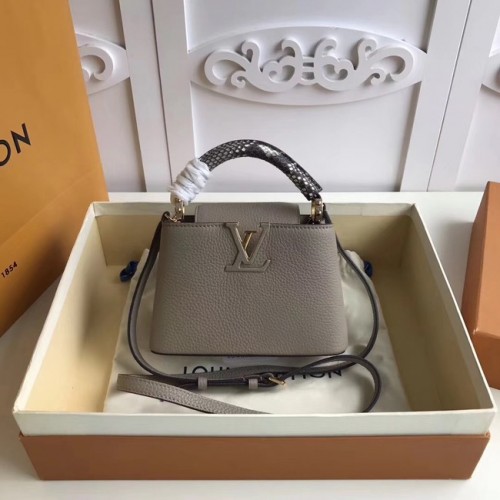 Louis vuitton originale CAPUCINES MINI N94047 grigio