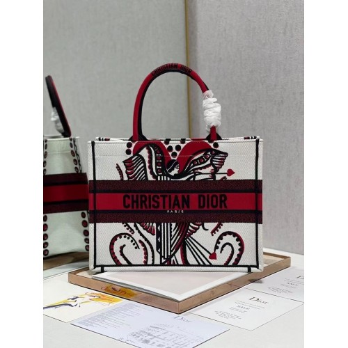 BORSA A LIBRO DIOR PICCOLA Ricamo C1287-21