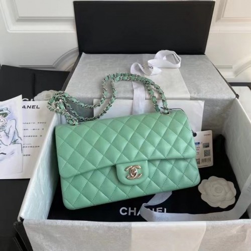 borsa classica chanel Pelle di agnello argento Metallo A01112 verde chiaro